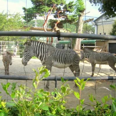 Kyoto City Zoo