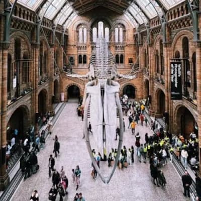Natural History Museum