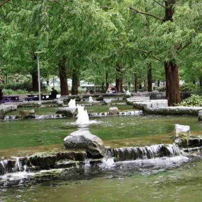 Jubilee Gardens