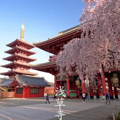 Senso-ji Temple