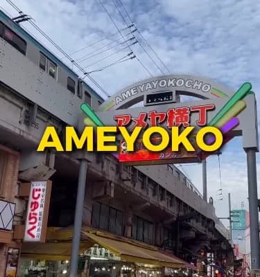 Ueno Ameyoko Shopping Street