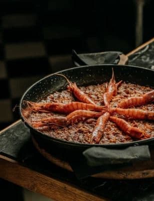 Vivo Tapas Restaurant Coctelería