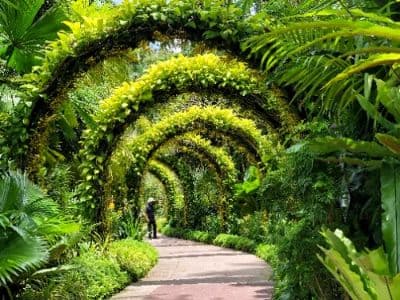 Botanic Gardens