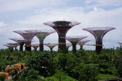 Gardens by the Bay