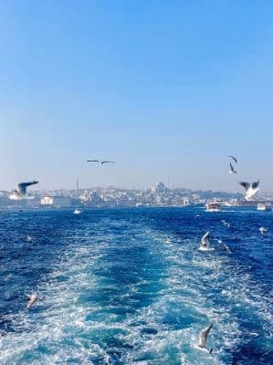 Bosphorus Cruise (Public Ferry)