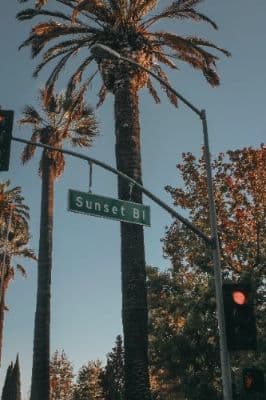Sunset Boulevard