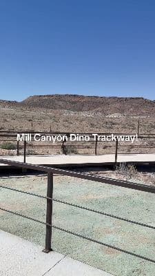 Mill Canyon Dinosaur Tracksite
